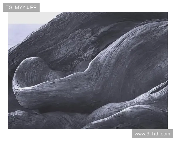 亚当斯的传奇人生与影响力探秘:从个人成就到全球视野的深度分析